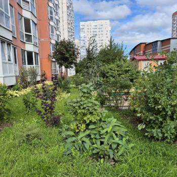 Сдается 2-х комнатная квартира, 60 м²