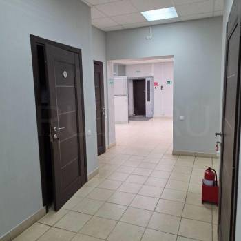 Сдается Нежилое помещение, 321 м²