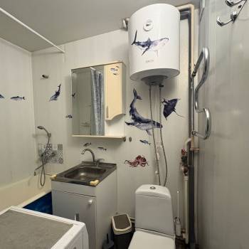 Сдается 1-комнатная квартира, 19,5 м²