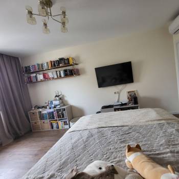 Сдается 2-х комнатная квартира, 53,5 м²