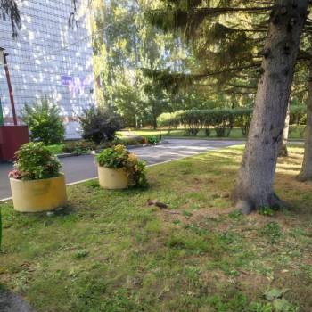 Продается 2-х комнатная квартира, 45,9 м²