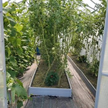 Продается Дом, 51 м²