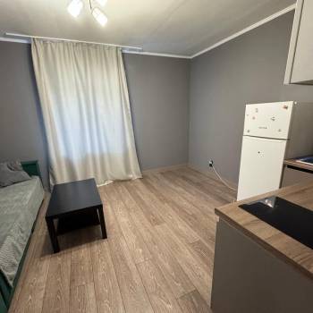Сдается 1-комнатная квартира, 26 м²
