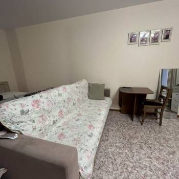 Сдается 1-комнатная квартира, 29,1 м²