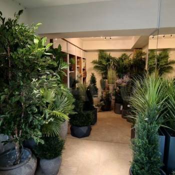 Сдается Нежилое помещение, 103,3 м²