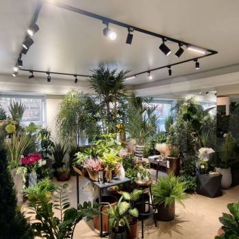 Сдается Нежилое помещение, 103,3 м²