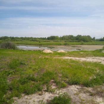 Сдается Дом, 60 м²