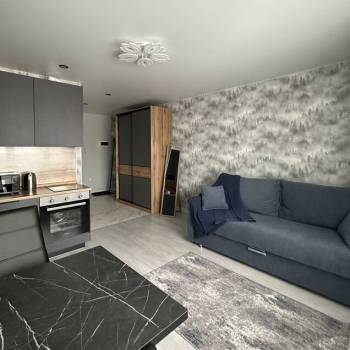 Сдается 1-комнатная квартира, 28 м²
