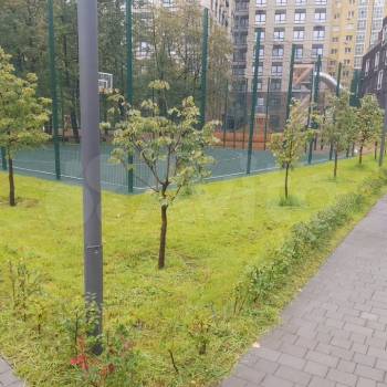 Сдается 1-комнатная квартира, 42 м²