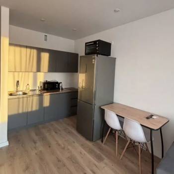 Сдается 1-комнатная квартира, 28,1 м²