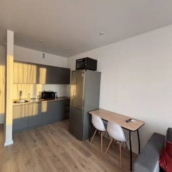 Сдается 1-комнатная квартира, 28,1 м²