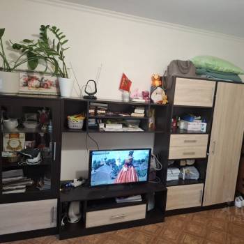 Продается 1-комнатная квартира, 20,9 м²