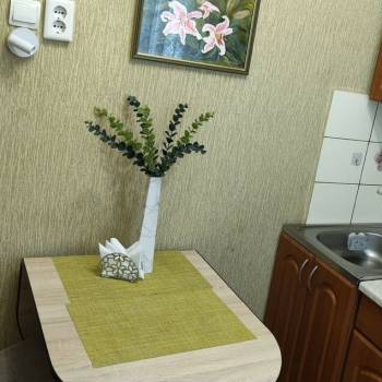 Продается 1-комнатная квартира, 30,7 м²