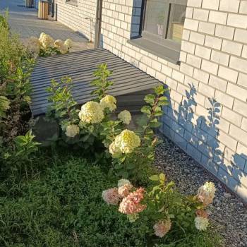 Сдается 1-комнатная квартира, 31 м²