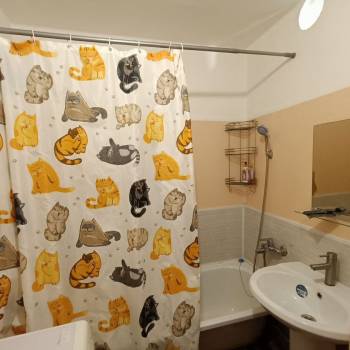 Сдается 1-комнатная квартира, 33,4 м²