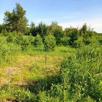 Продается Участок, 1200 м²
