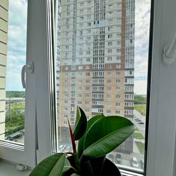 Продается 1-комнатная квартира, 34 м²