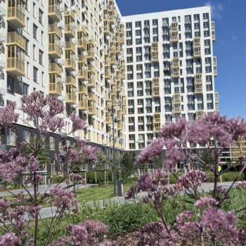 Сдается 1-комнатная квартира, 22,5 м²
