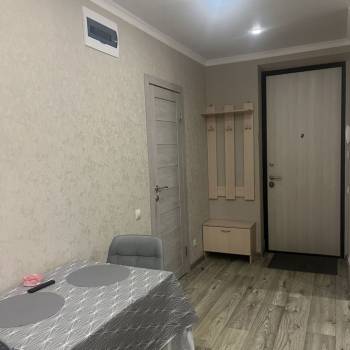 Сдается 1-комнатная квартира, 22,7 м²
