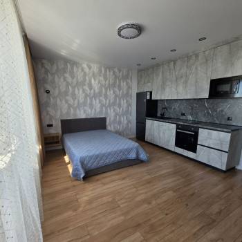 Сдается 1-комнатная квартира, 27,7 м²