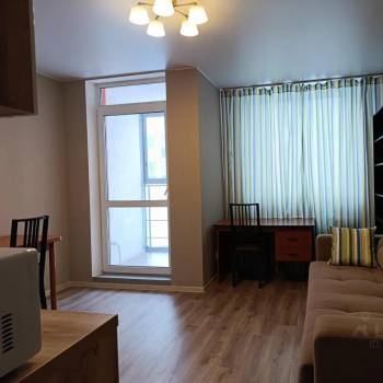Сдается 1-комнатная квартира, 24,5 м²