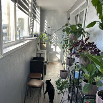 Продается 1-комнатная квартира, 38,5 м²