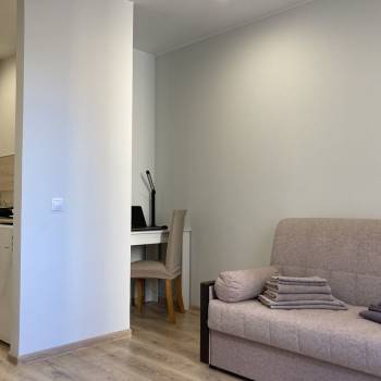 Сдается 1-комнатная квартира, 23,3 м²